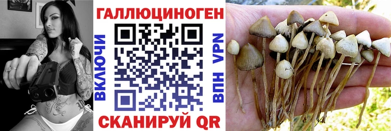 Галлюциногенные грибы Cubensis Вятские Поляны